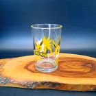 [R2540] Verre Pokémon Voltali