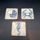 [R2673] Lot de 3 dessous de verres Faune Marine