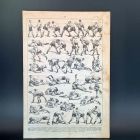[R2713] Tableau prise de lutte