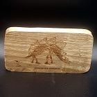 [R945] Morceau de bois déco squelette stégosaure 5x10 cm