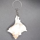 [R974] Porte-clef coquillage escargot