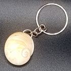 [R984] Porte-clef coquillage escargot